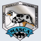 MASCA – Miniature Australian Shepherd Club of America