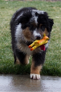 Lucy