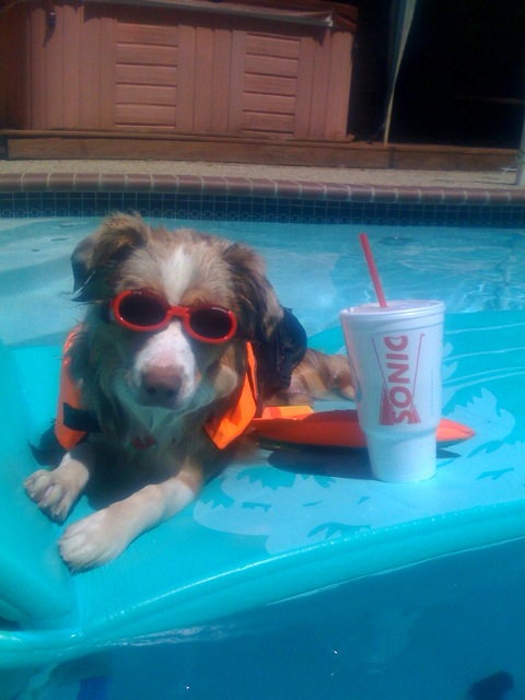 Tucker